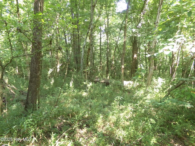 OFF River Rd, White Oak, NC 28399
