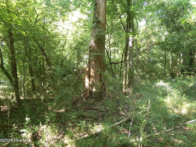 OFF River Rd, White Oak, NC 28399