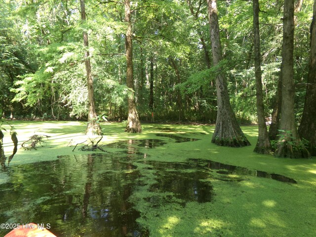 OFF River Rd, White Oak, NC 28399