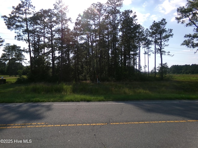 LOTS35-38 US-701 Hwy N, Elizabethtown, NC 28337