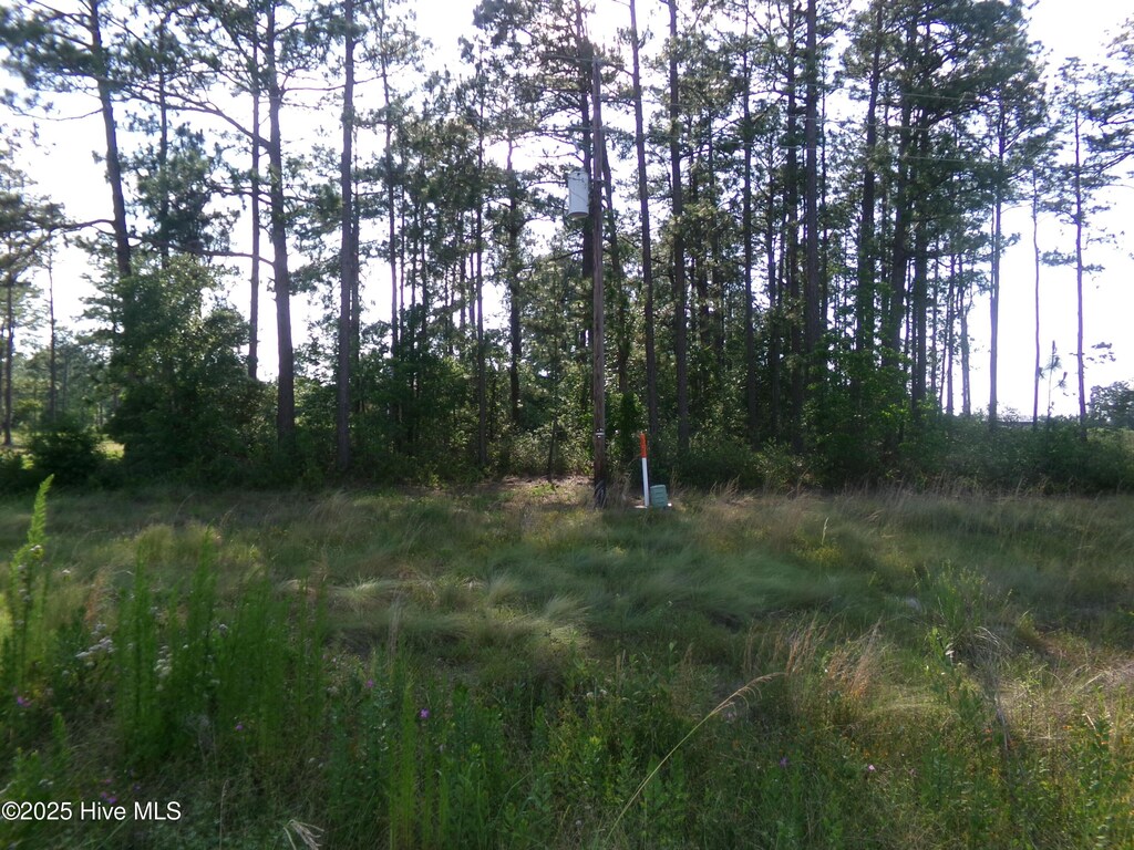LOTS35-38 US-701 Hwy N, Elizabethtown, NC 28337