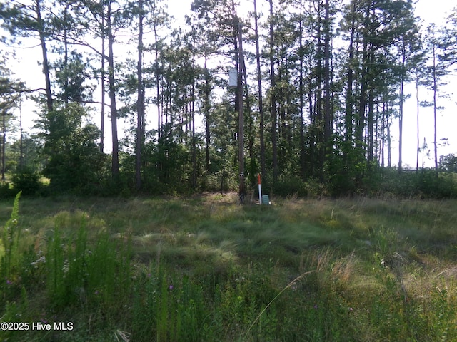 LOTS35-38 US-701 Hwy N, Elizabethtown, NC 28337