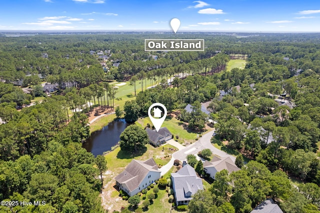 3710 Calla Lilly Ct, Southport, NC 28461 - aerial view of residential area featuring a large body of water and a heavily wooded area