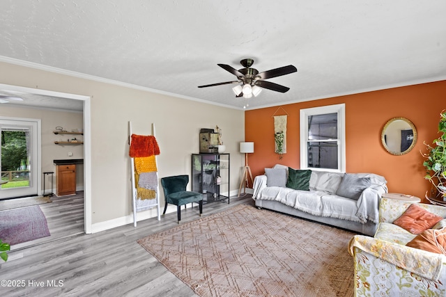 202 Regalwood Dr, Jacksonville, NC 28546 - living area with a ceiling fan, light wood-type flooring, and ornamental molding