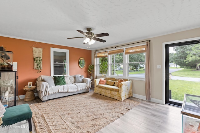 202 Regalwood Dr, Jacksonville, NC 28546 - living area featuring ceiling fan, ornamental molding, and wood finished floors