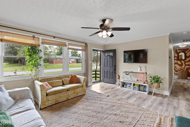 202 Regalwood Dr, Jacksonville, NC 28546 - living room featuring wood finished floors, ornamental molding, ceiling fan, and a textured ceiling