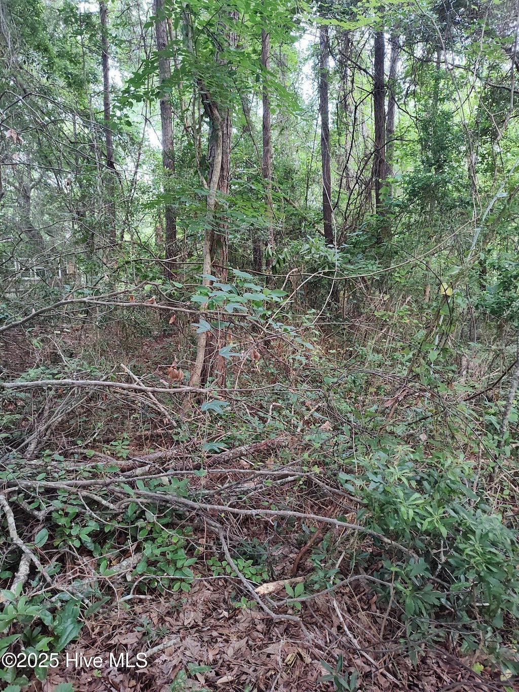 106 Taylor Ln Unit 11, Hubert, NC 28539