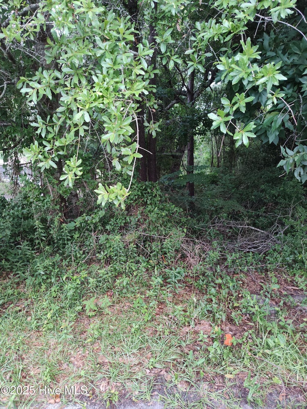 106 Taylor Ln Unit 11, Hubert, NC 28539