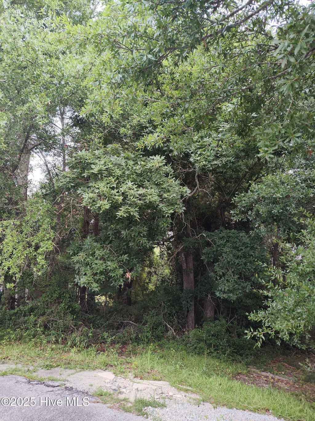 106 Taylor Ln Unit 11, Hubert, NC 28539