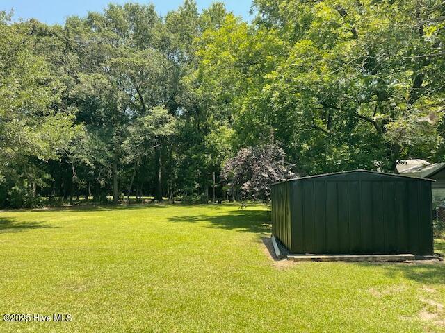 1451 Old Pink Hill Rd, Deep Run, NC 28525 - view of grassy yard featuring a shed