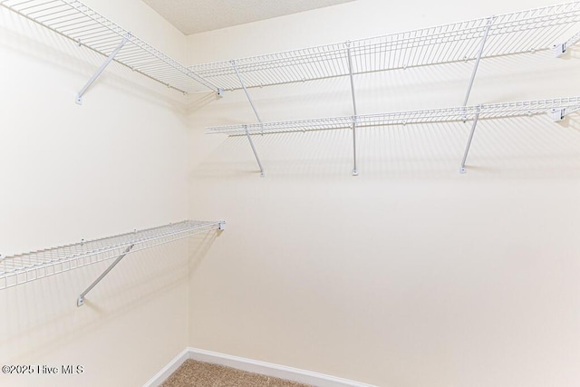 107 Sandspur Ln, West End, NC 27376 - spacious closet with light colored carpet