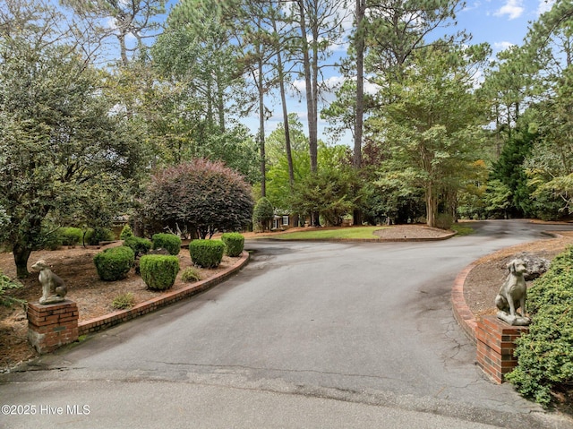 3 Augusta Way, Pinehurst, NC 28374 - view of road