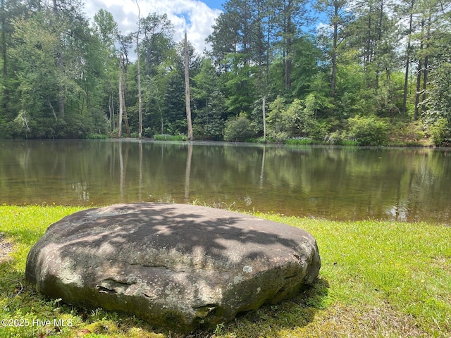 3 Augusta Way, Pinehurst, NC 28374 - water view featuring a heavily wooded area
