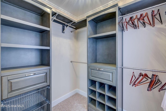 463 Avendale Dr, Rocky Point, NC 28457 - spacious closet featuring carpet