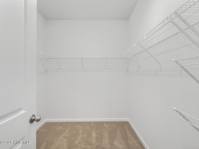 112 Edgewater Way Unit 57, Surf City, NC 28445 - walk in closet with carpet