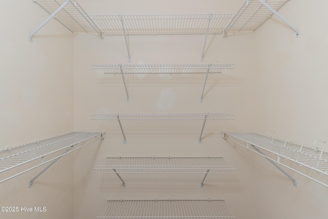 6723 Newbury Way, Wilmington, NC 28411 - view of walk in closet