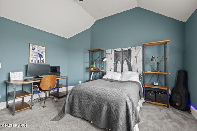 400 Lanyard Dr, Newport, NC 28570 - bedroom with carpet floors, vaulted ceiling, and an office area