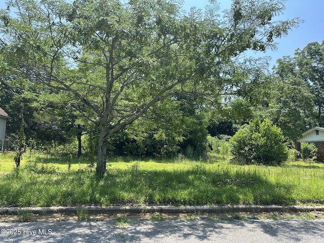 507 Mckay St, Laurinburg, NC 28352 - view of undeveloped land