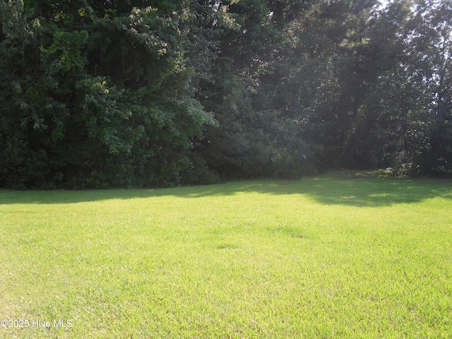 124 Pella Ln, New Bern, NC 28562 - view of grassy yard