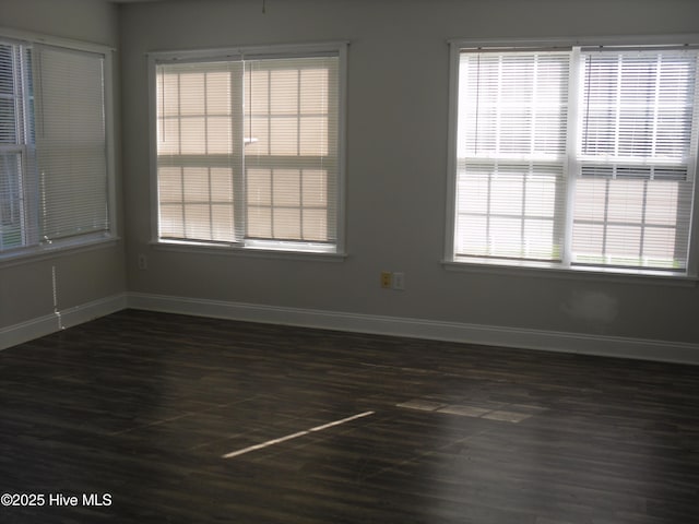 124 Pella Ln, New Bern, NC 28562 - unfurnished room with dark wood-style floors and healthy amount of natural light