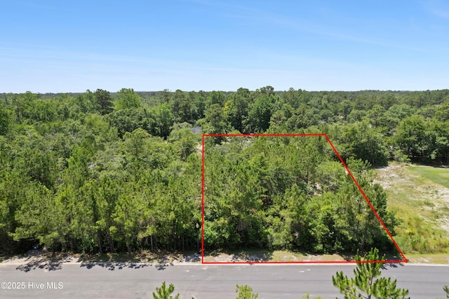 2961 Old Berwick St SW, Shallotte, NC 28470