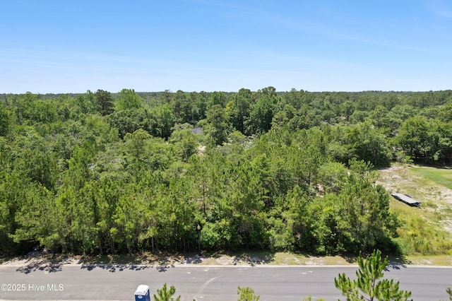 2961 Old Berwick St SW, Shallotte, NC 28470