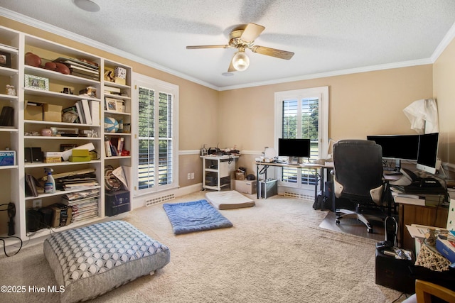 3509 Lakeview Trl, Kinston, NC 28504 - home office with carpet floors, ornamental molding, a ceiling fan, and a textured ceiling