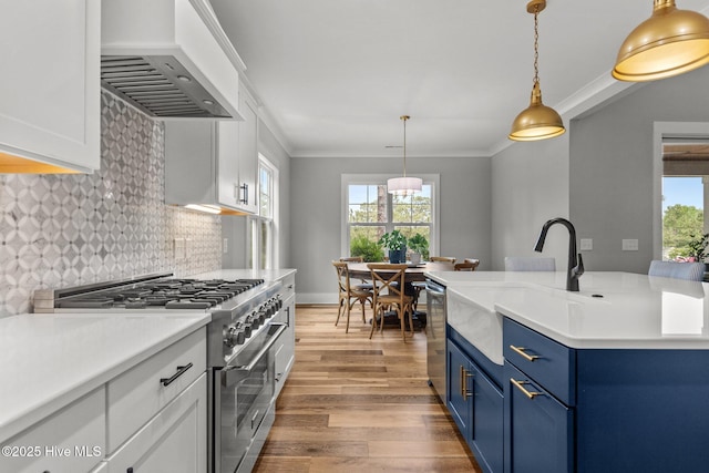 28 Kahkwa Trl, Pinehurst, NC 28374 - kitchen with stainless steel appliances, custom exhaust hood, blue cabinetry, wood finished floors, and plenty of natural light