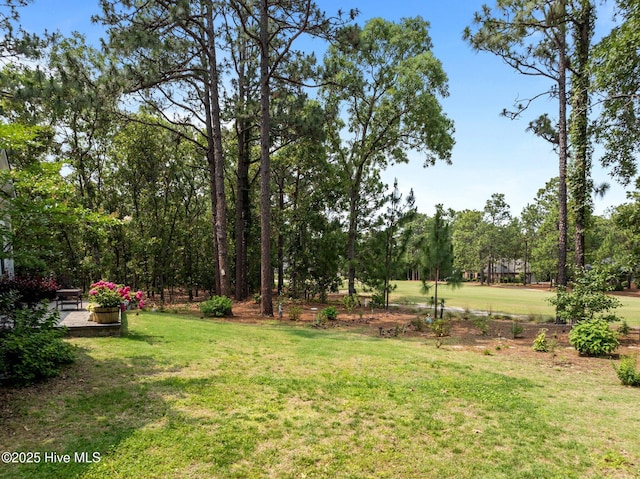 28 Kahkwa Trl, Pinehurst, NC 28374 - view of green lawn