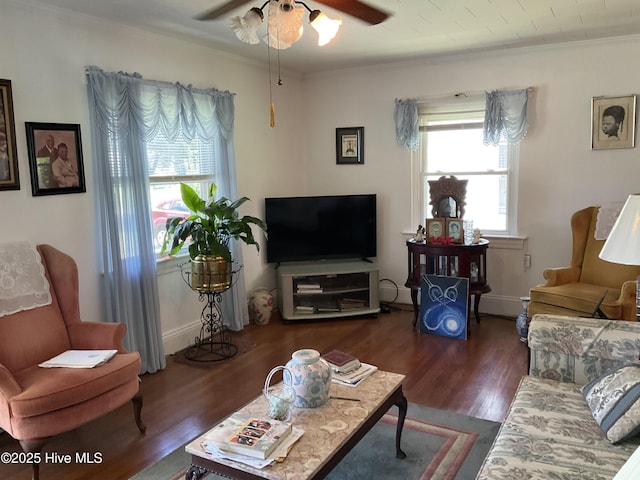 309 Battle Dr, Nashville, NC 27856 - living room featuring ornamental molding, ceiling fan, and dark wood-type flooring