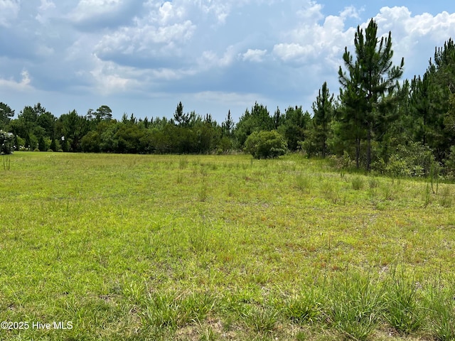8388 S Shoreside Way NE Unit 34, Leland, NC 28451