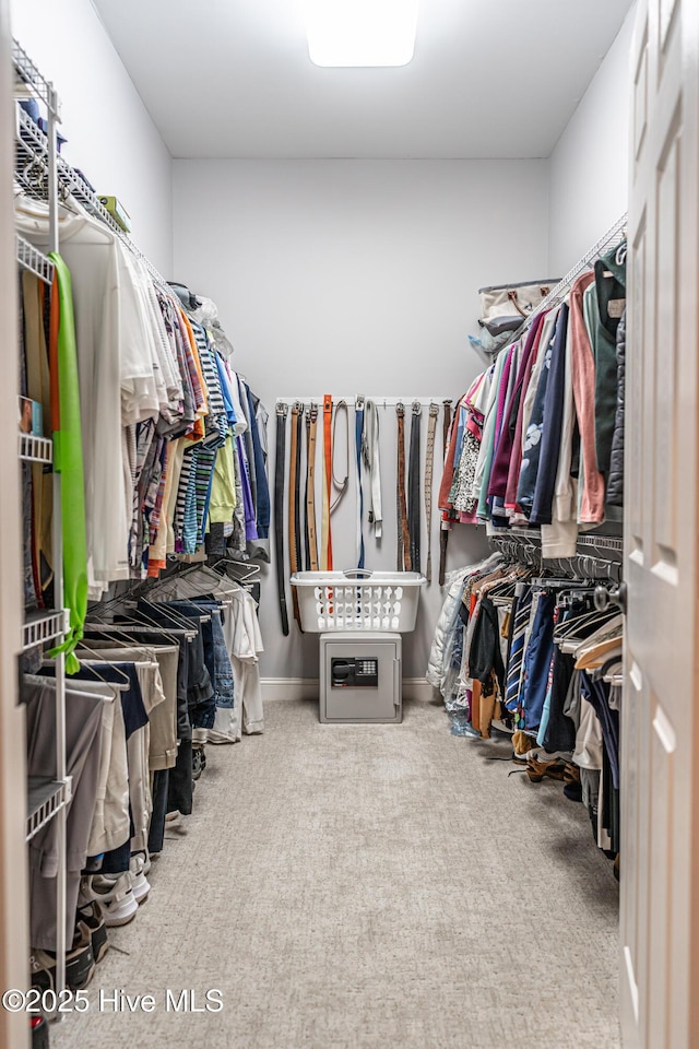56 Kilbride Dr, Pinehurst, NC 28374 - walk in closet with carpet floors