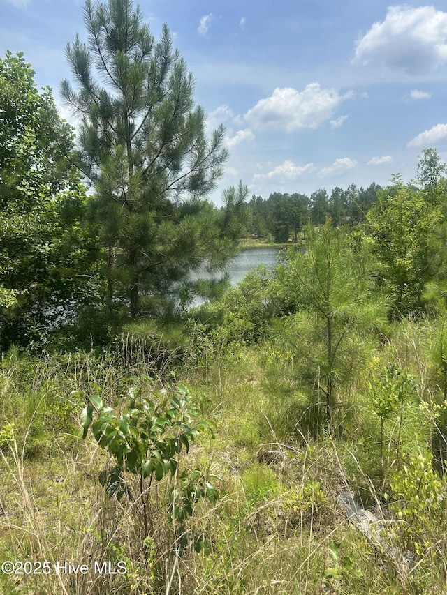 515 Lakeview Ln, Cameron, NC 28326
