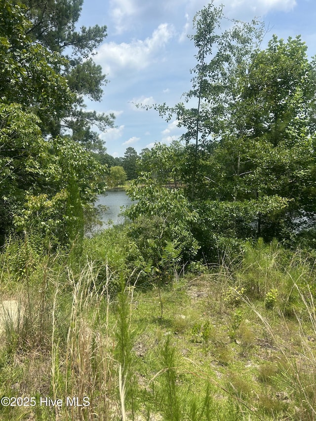 515 Lakeview Ln, Cameron, NC 28326