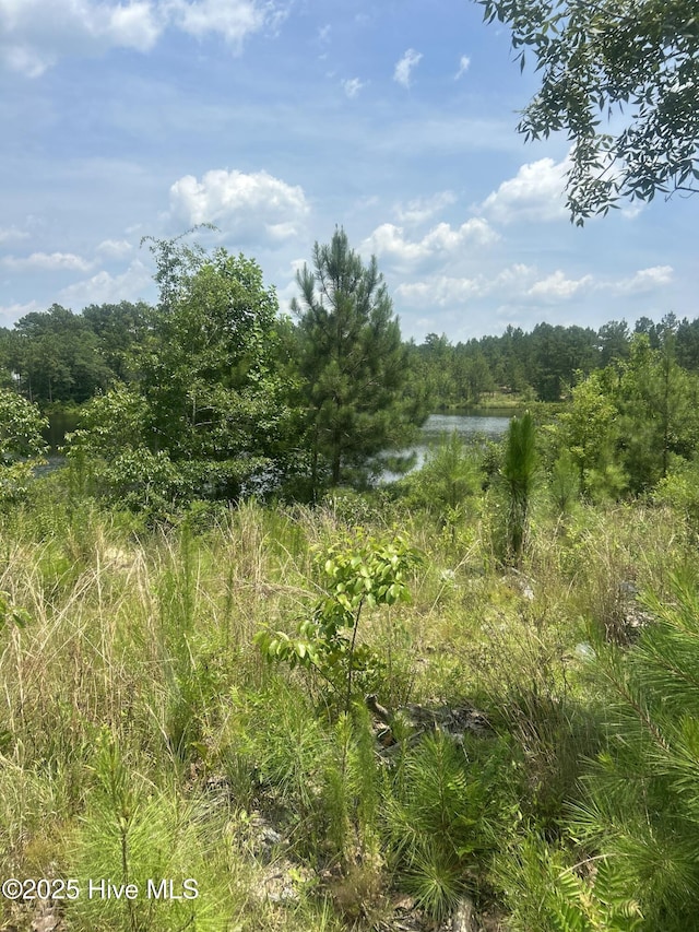 515 Lakeview Ln, Cameron, NC 28326