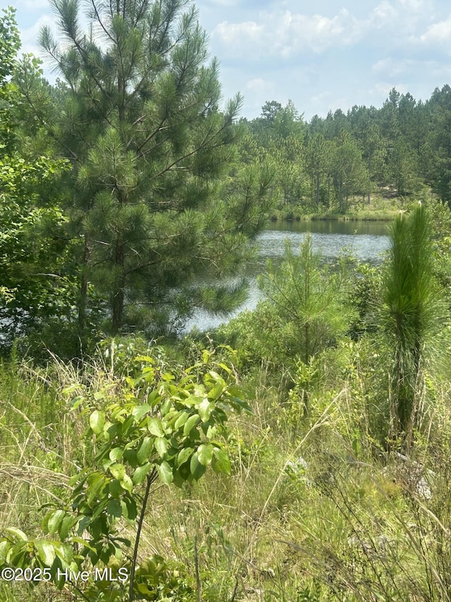 515 Lakeview Ln, Cameron, NC 28326