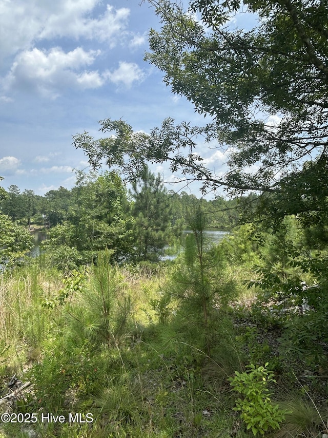 515 Lakeview Ln, Cameron, NC 28326
