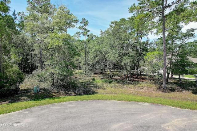 3406 Portside Dr SW Unit 171, Supply, NC 28462