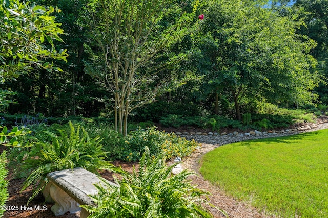 2675 Four Oak Rd, Southport, NC 28461 - view of yard