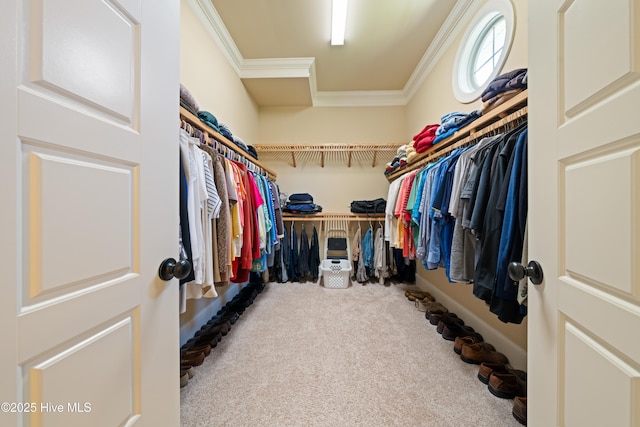 2675 Four Oak Rd, Southport, NC 28461 - spacious closet featuring carpet floors