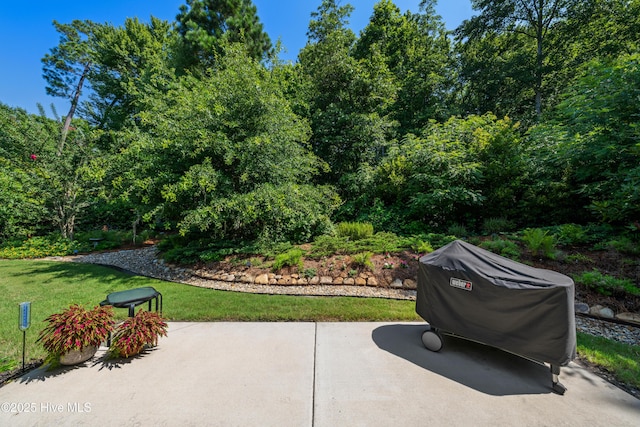 2675 Four Oak Rd, Southport, NC 28461 - view of patio featuring grilling area