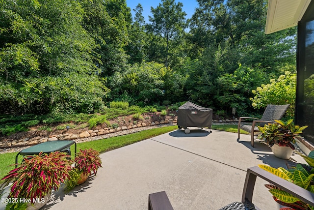 2675 Four Oak Rd, Southport, NC 28461 - view of patio / terrace featuring grilling area