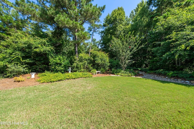 2675 Four Oak Rd, Southport, NC 28461 - view of green lawn