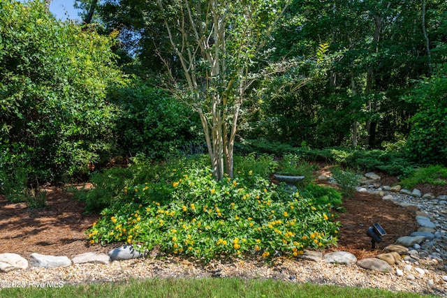 2675 Four Oak Rd, Southport, NC 28461 - view of nature
