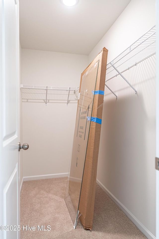 481 Peggy Mill Rd, Hamlet, NC 28345 - walk in closet featuring carpet floors
