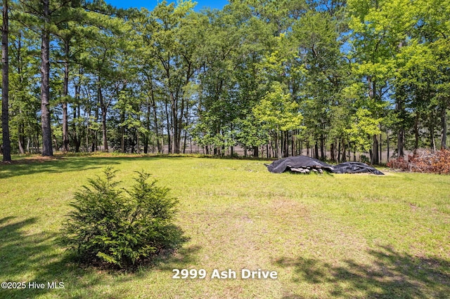 2999 Ash Dr SW Unit 51, Shallotte, NC 28470