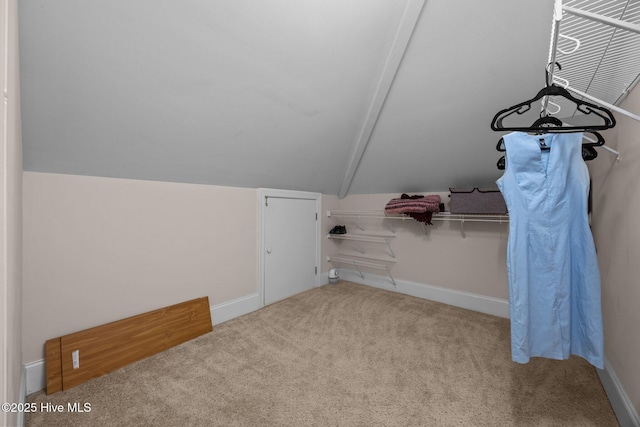 106 Blue Heron Cir, Sneads Ferry, NC 28460 - spacious closet featuring carpet and lofted ceiling