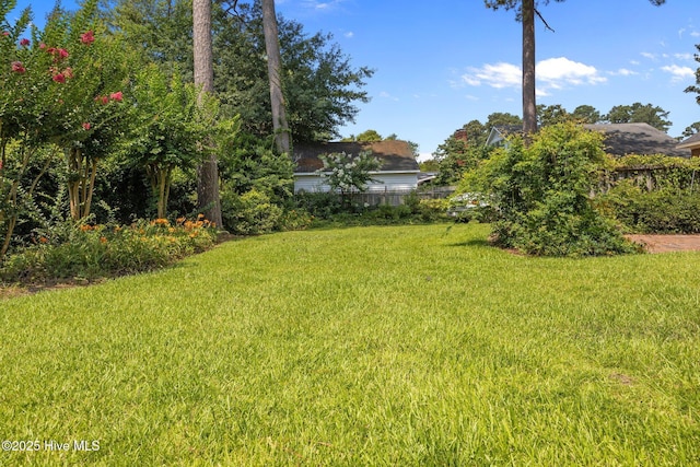 1902 York St, Kinston, NC 28504 - view of yard