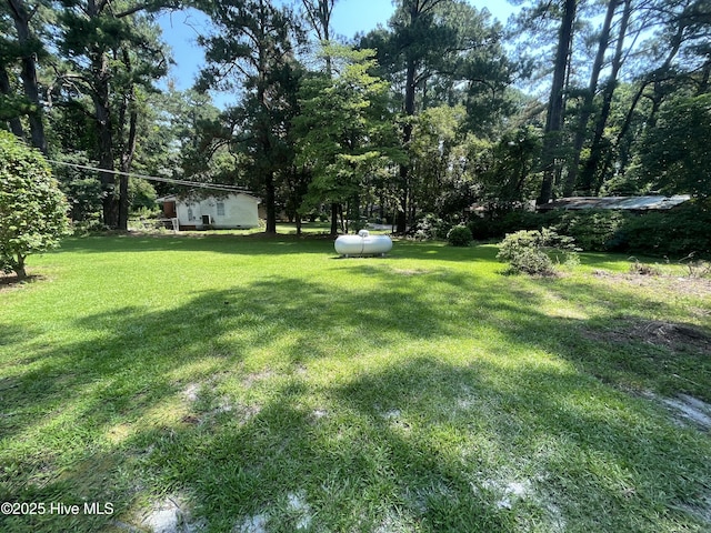 148 N Mitchell Ford Rd, Clarkton, NC 28433 - view of grassy yard