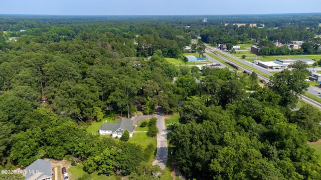 148 N Mitchell Ford Rd, Clarkton, NC 28433 - aerial view of property and surrounding area with a heavily wooded area